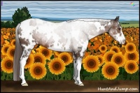 Horse Color:White Spotted Liver Chestnut Sabino 