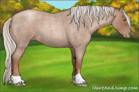 Horse Color:Silver Blue Roan Pearl 