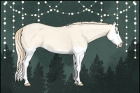 Horse Color:Perlino Dun Splash 