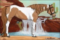 Horse Color:Chestnut Tobiano 