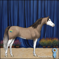 Horse Color:Classic Champagne Splash 