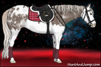 Horse Color:White Spotted Silver Black Splash Appaloosa 