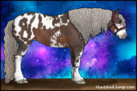 Horse Color:Silver Black Sabino Appaloosa 