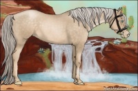 Horse Color:Chocolate Palomino Roan Pearl Sabino 