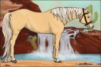 Horse Color:Palomino
