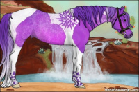 Horse Color:Watercolor Bay Tobiano Rabicano 