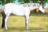 Horse Color:Brown Onyx Tobiano Frame