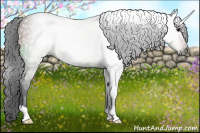 Horse Color:Gray Bay 