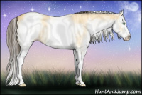Horse Color:White Spotted Amber Cream Champagne Splash