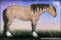 Horse Color:Bay Roan 