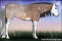 Horse Color:Bay Roan Splash 