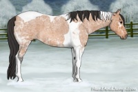Horse Color:Bay Ice Roan Tobiano 