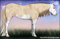 Horse Color:Red Dun Splash 