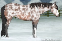 Horse Color:Brown Ice 