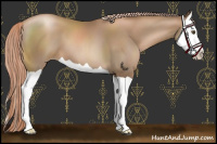 Horse Color:Liver Chestnut Pearl Splash