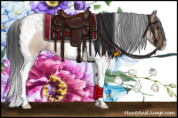 Horse Color:Bay Dun Tobiano 