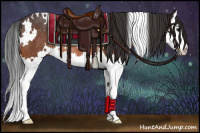 Horse Color:White Spotted Bay Sabino Splash Rabicano 