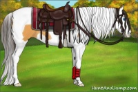 Horse Color:Buckskin Sabino Splash Tobiano 