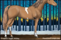Horse Color:Chestnut Tobiano 