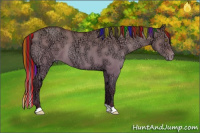 Horse Color:Painted Sable Champagne Ice Dun 