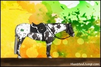 Horse Color:White Spotted Smoky Black Appaloosa 