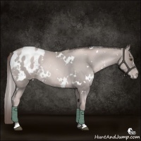 Horse Color:Platinum White Spotted Liver Red Roan Pearl Blanket Rabicano 
