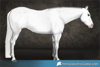 Horse Color:Silver Brown Roan Onyx Sabino Appaloosa 