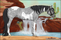 Horse Color:Blue Ice Roan Tobiano