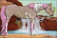 Horse Color:Gray Watercolor Bay Tobiano 