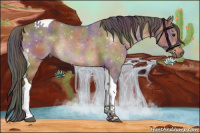 Horse Color:Nacre Brown Dun Tobiano 