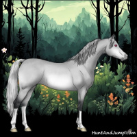 Horse Color:Silver Bay Chinchilla Rabicano
