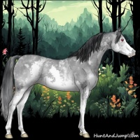 Horse Color:White Spotted Classic Champagne Chinchilla Splash Rabicano 