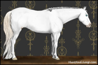 Horse Color:Buckskin Roan Pearl Appaloosa  and Buckskin Roan Pearl Splash Appaloosa 