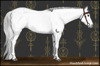 Horse Color:Gray White Spotted Black Blanket  and Gray White Spotted Black Blanket Rabicano 