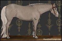 Horse Color:Silver Blue Roan Sabino Varnish 