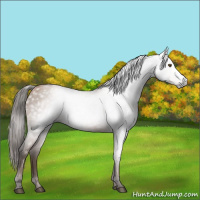 Horse Color:Gray Brown Pearl 