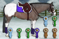 Horse Color:Brown Roan Sabino Appaloosa