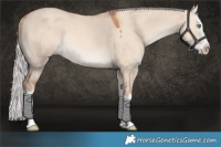 Horse Color:Silver Sable Champagne Dun Splash Rabicano