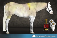 Horse Color:Silver Brown Ice Dun Mushroom Splash Rabicano 