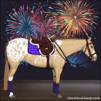 Horse Color:Buckskin Roan Dun Appaloosa 