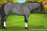 Horse Color:Liver Red Roan Rabicano