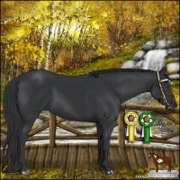 Horse Color:Black Frame 