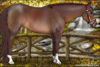 Horse Color:Chocolate Brown 