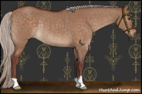 Horse Color:Chocolate Silver Brown Dun Rabicano 