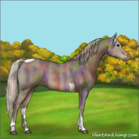 Horse Color:Nacre Silver Black Tobiano 