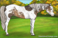 Horse Color:Silver Smoky Black Splash Tobiano Varnish 