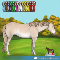 Horse Color:Perlino 