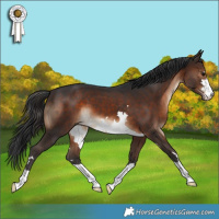 Horse Color:Brown 