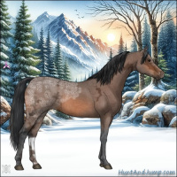 Horse Color:Bay Ice 