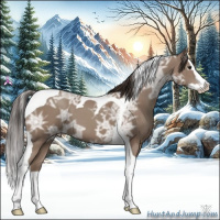 Horse Color:Classic Champagne Ice Splash Tobiano 